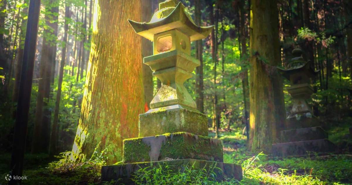 夏休み限定特典】九州避暑の旅 | 上色見熊野神社&阿蘇山草千里&黒川